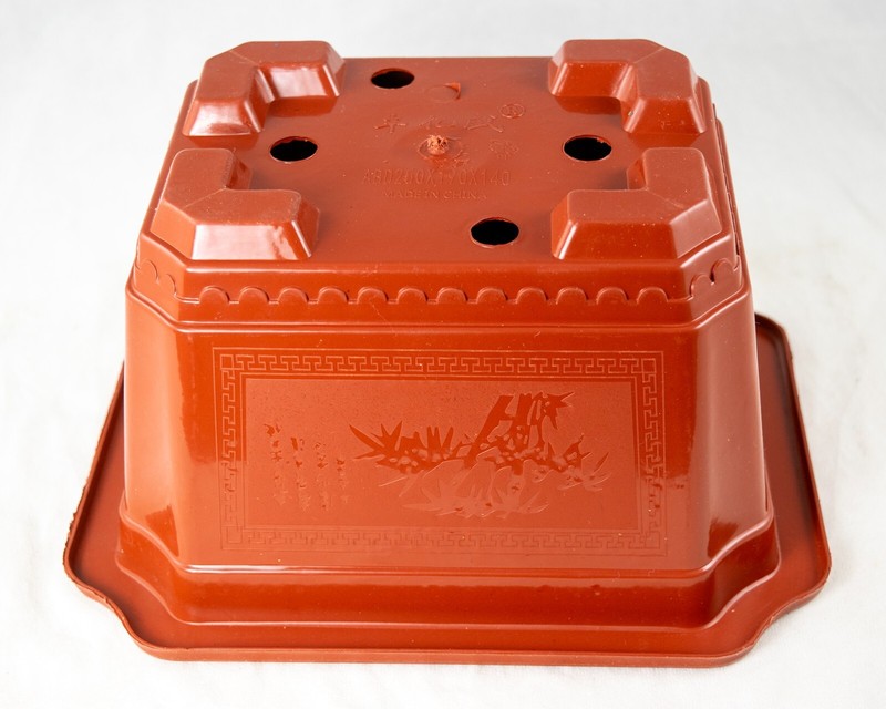Rectangular Plastic Cactus & Succulent, Bonsai Training Tall Pot 7.25" to 17.5" gallery