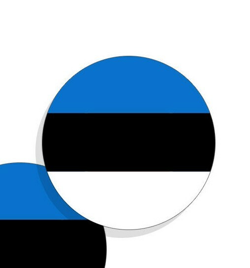 Estonia Flag Stickers Flag Decals Vinyl Stickers Round Indoor Outdoor 4 pack gallery