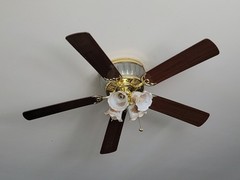 5 ceiling fan blades (slightly used) as shown (ONLY SELLING BLADES)