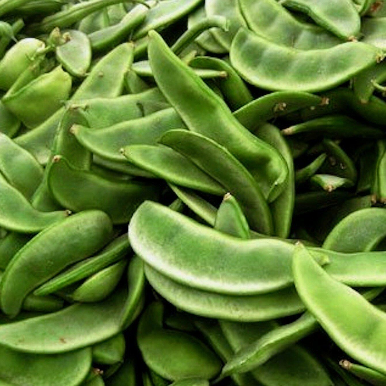 Burpee Improved Lima Bean Seeds, Butter Beans, NON-GMO, Heirloom, FREE SHIPPING gallery