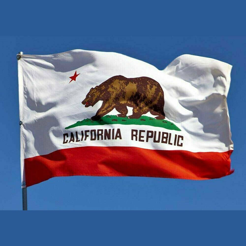 California Flag CA State Banner Pennant 3x5 foot indoor outdoor 36x60 inches New gallery