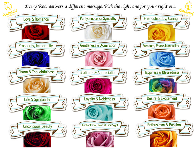 REAL Preserved Eternity Forever Rose Ring Box Proposal Valentine's Day Gift gallery