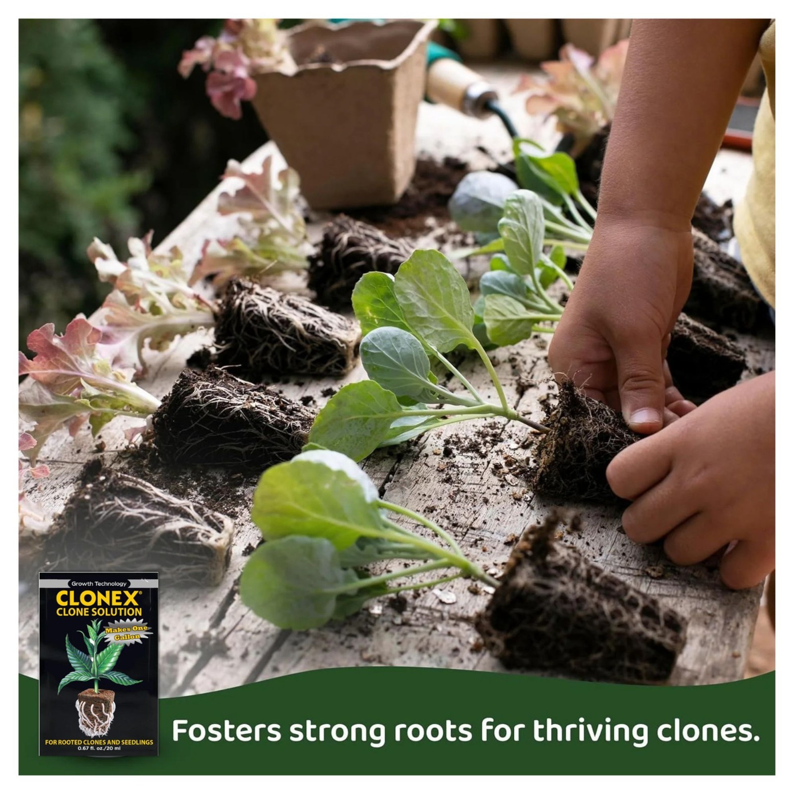 Clonex Rooting Starter Kit – Rooting Gel 15ml + Clone Solution 20ml – 2 Pack gallery