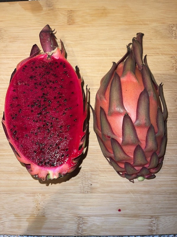 Mature “ TRICIA ” Dragon Fruit Cuttings gallery