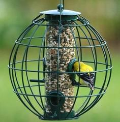 PETITE ORB SQUIRREL RESISTANT CAGED BIRD SEED FEEDER BE160 BACKYARD ESSENTIALS