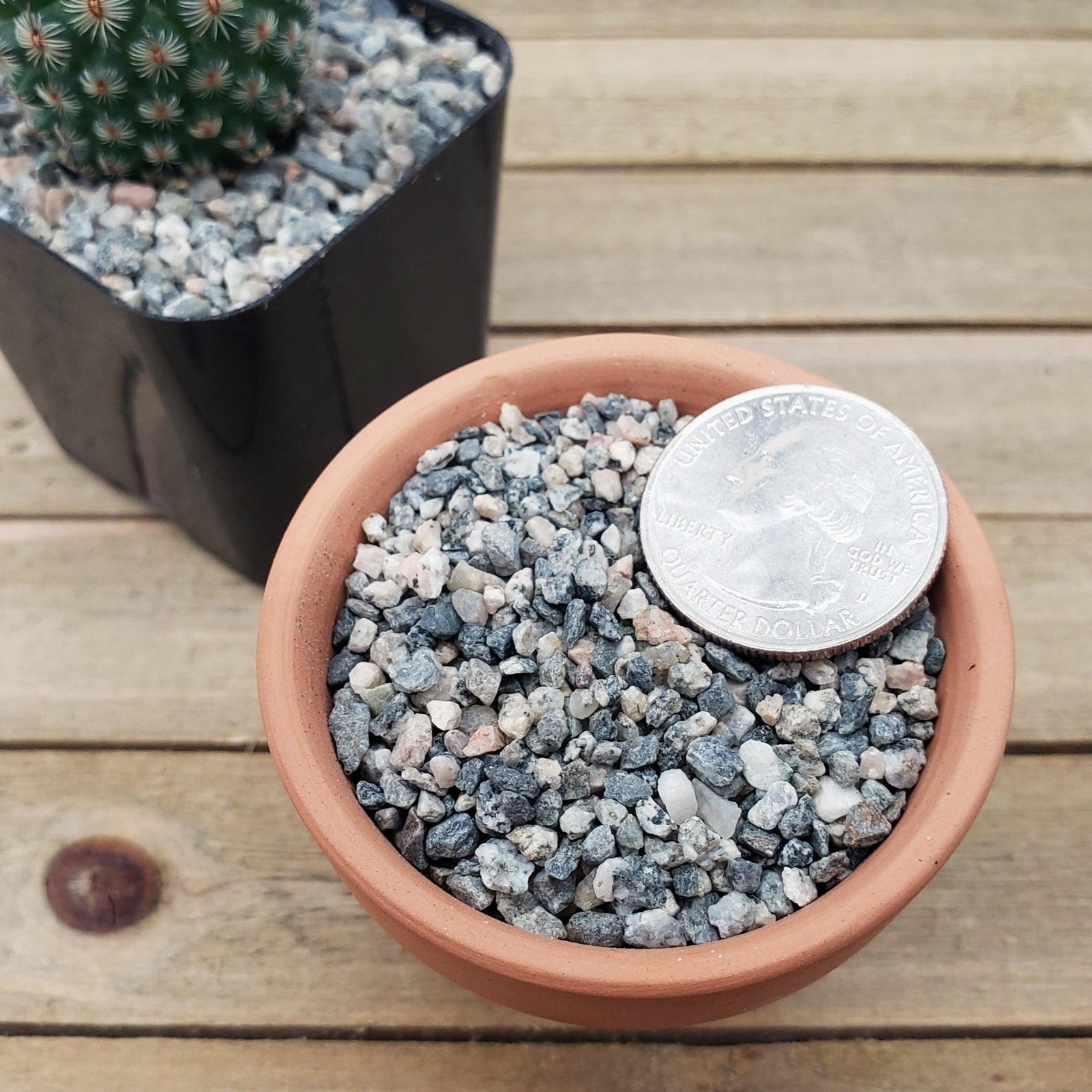 1lb #10 Grid Top Soil Dressing Pebbles for seed germination gallery