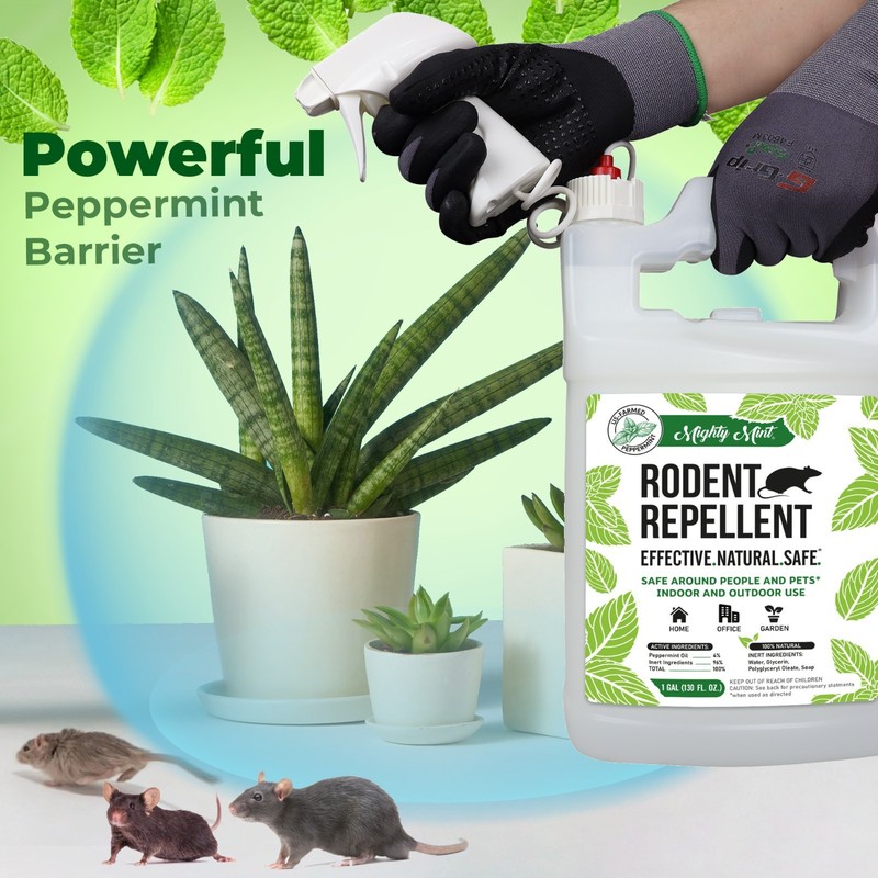 Mighty Mint 1 Gallon Mice Rat Rodent Repellent Spray, All Natural Peppermint Oil gallery