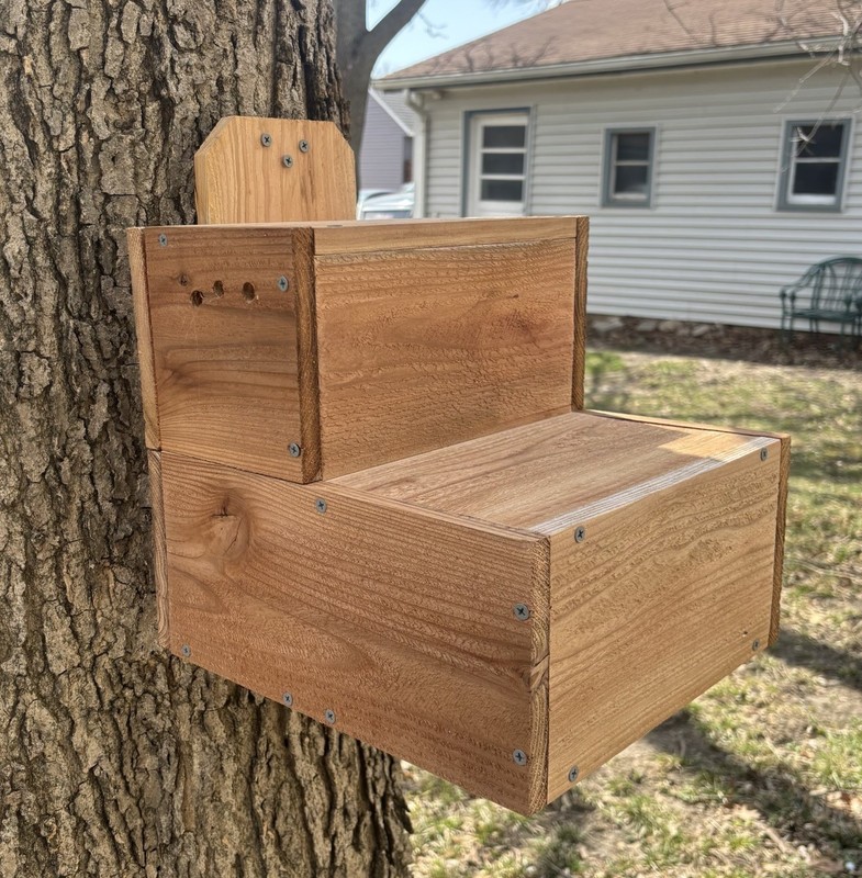 Large Solid Cedar Backyard Squirrel House Nesting Box - Wooden W Preditor Guard gallery