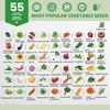 55 Vegetable Seeds Variety Pack - 39,000+ Heirloom Seeds for Planting Vegetab... gallery