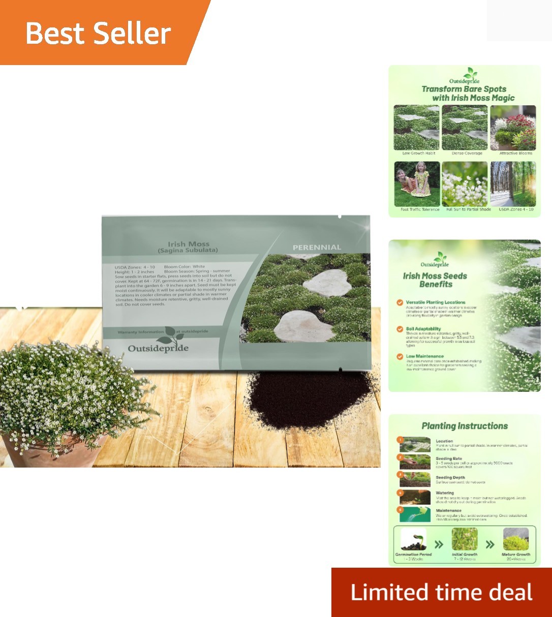 Irish Moss Ground Cover Seeds - 5000 Pcs Perennial Low Growing, Mat-Forming L... gallery