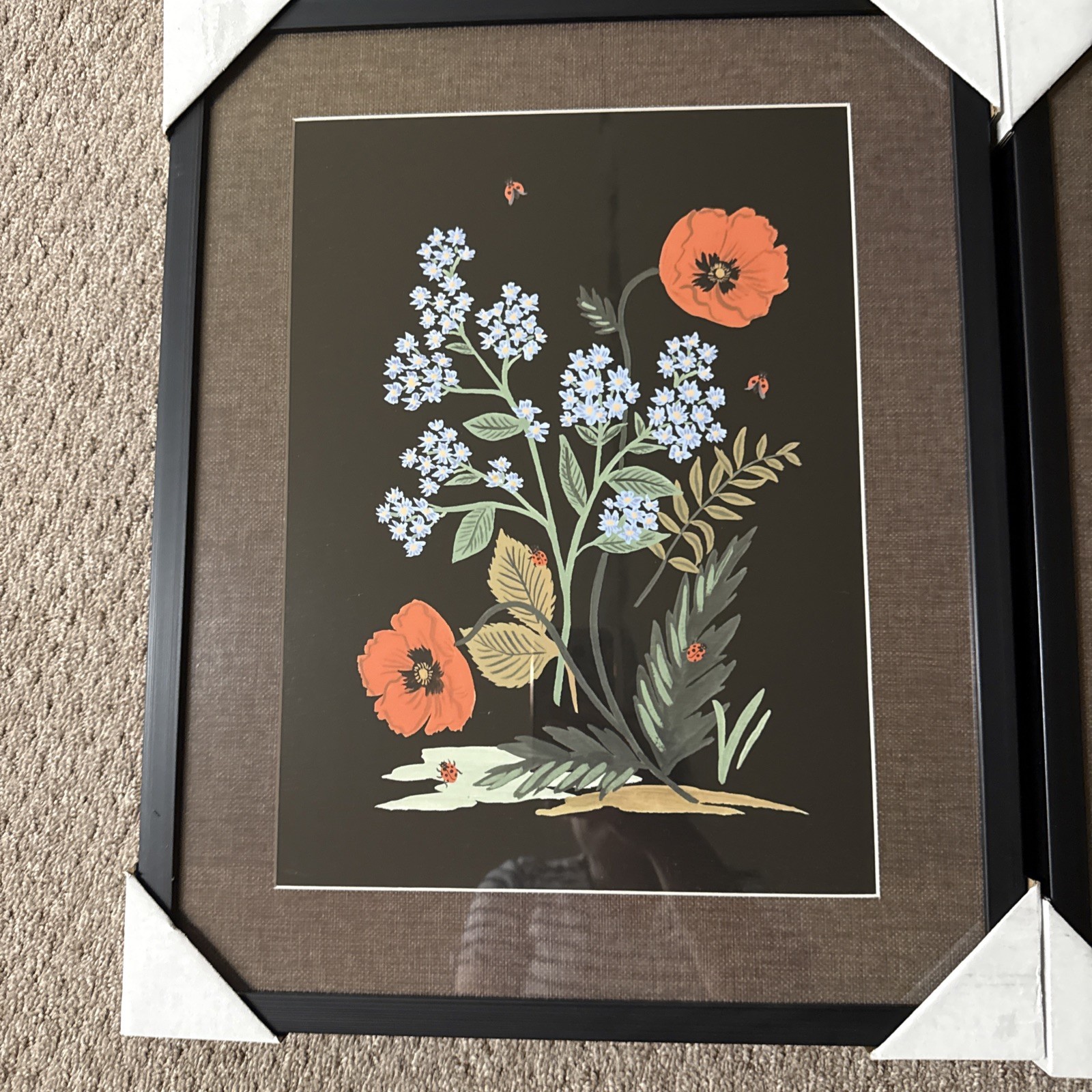 Rifle Paper Co. 16"x20" Botanical Poster Framed Wall Art Print Set of gallery