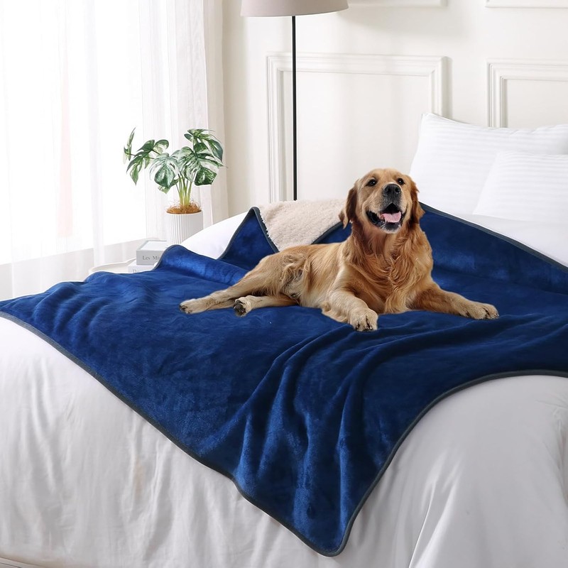 Waterproof Blanket for Intimacy Sofa Bed Protector Cover Plush & Absorbent 50x60 gallery