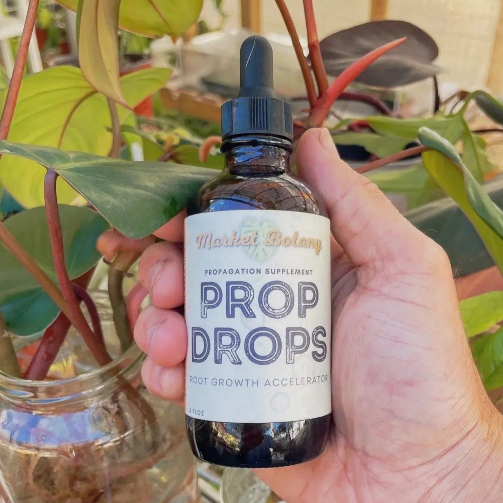 Prop Drops Plant Propagation Drops – Root Growth Booster for Cuttings & Housepla gallery