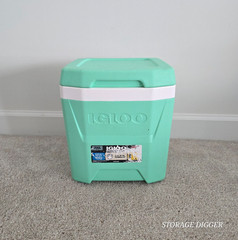 Igloo Cool 12 Quart Mint White Cooler Box, Easy Carry Handle, 18 Cans Capacity