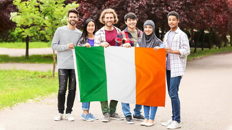 DANF Ireland Flag 3X5 Ft Thick Polyester, Fade Resistant, Brass Grommets, Canvas gallery