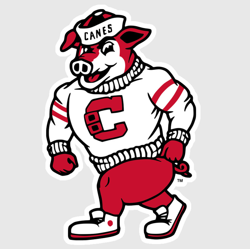 Carolina Hurricanes Vinyl Sticker Decal 13 gallery