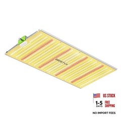 Dimmable LED Light, Full Spectrum Plant Lamp for Indoor Seed Starting, BP2000