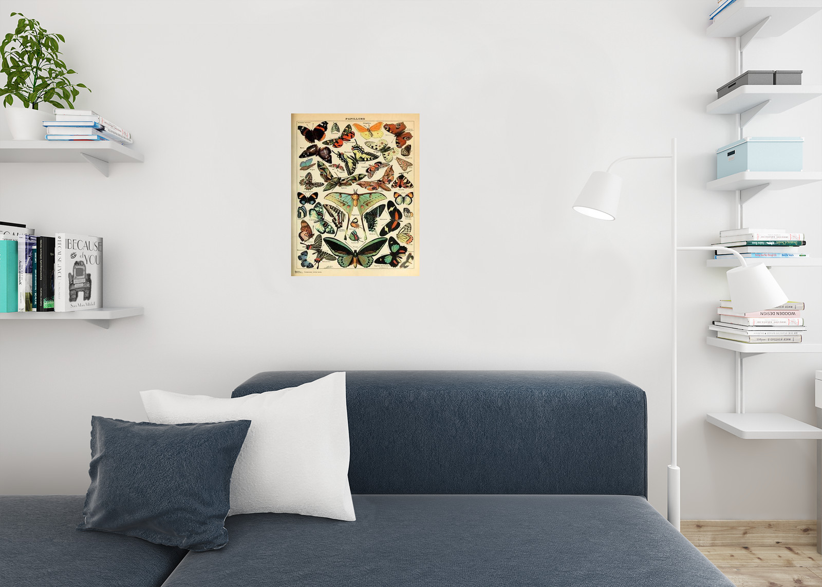 Butterfly Vintage Papillons Insect Art Print Poster 16x24 gallery