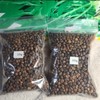 2025Aug. NEW! water spinach ong choy 4000+ seeds （200g） Vegetable gallery