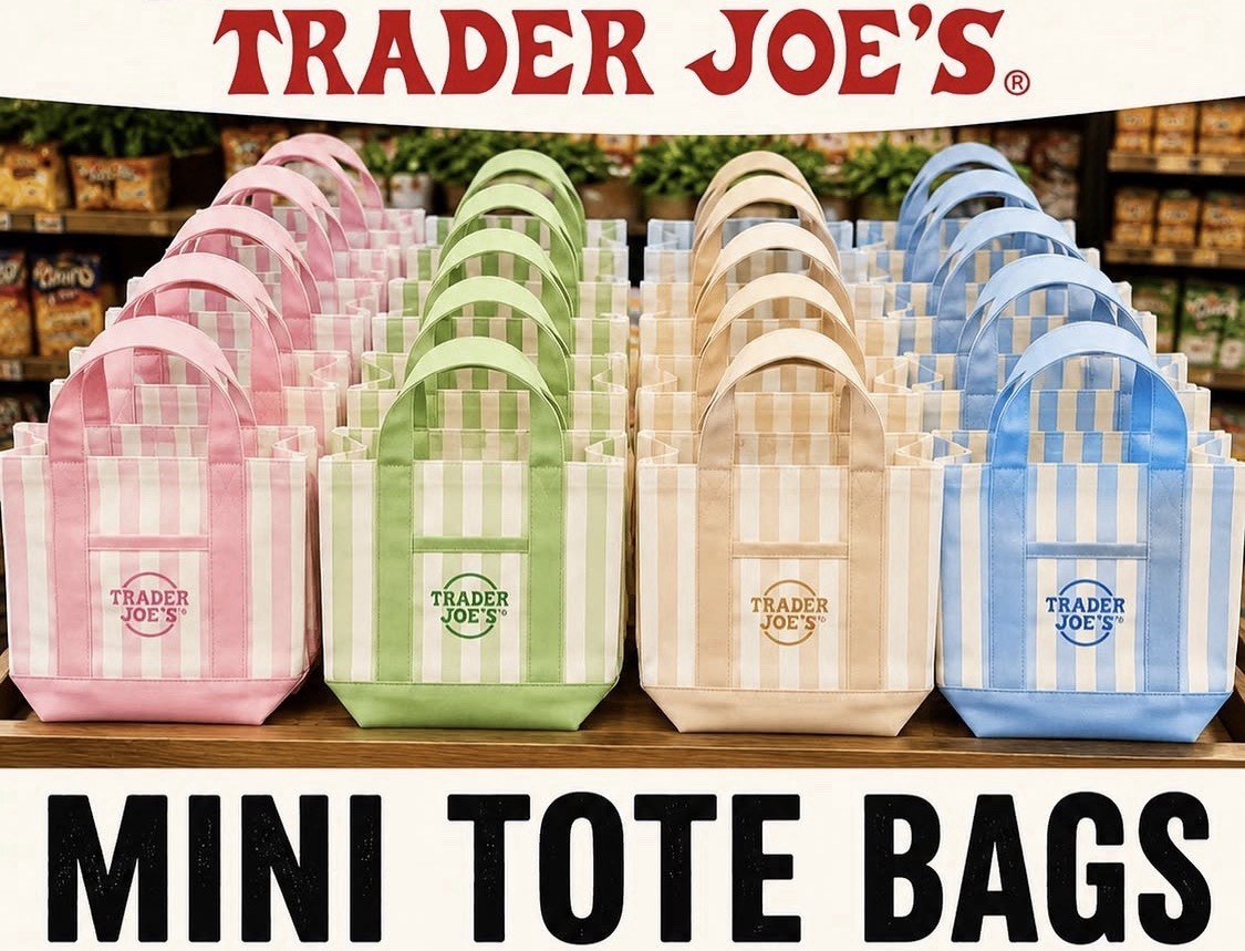 Trader Joe’s Mini Striped Canvas Tote Bag 4/4 Summer 2026 New with Tag In Hand gallery