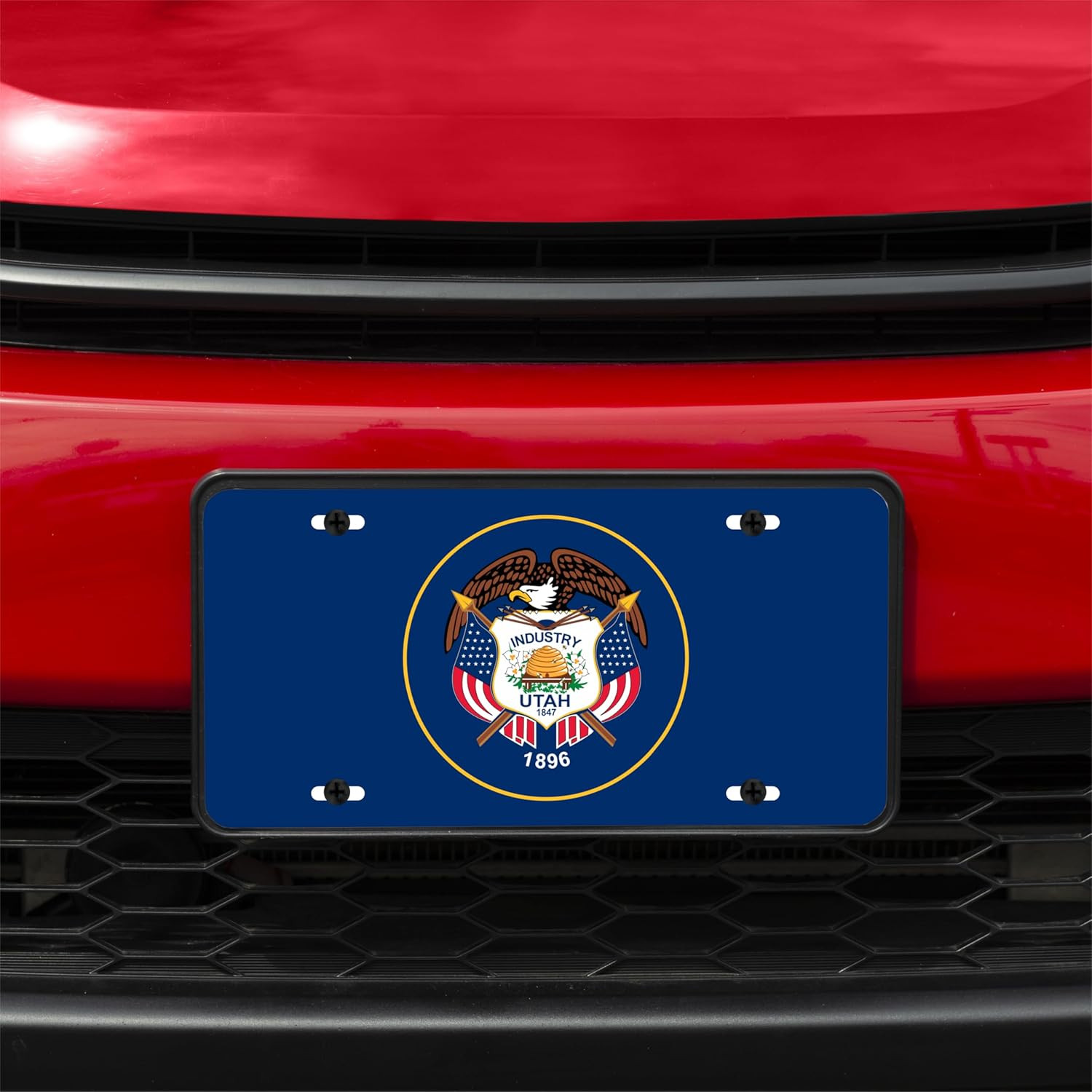 DMSE US State Flag License Plates 12" X 6" Inch - Durable Aluminum Tag for Cars gallery