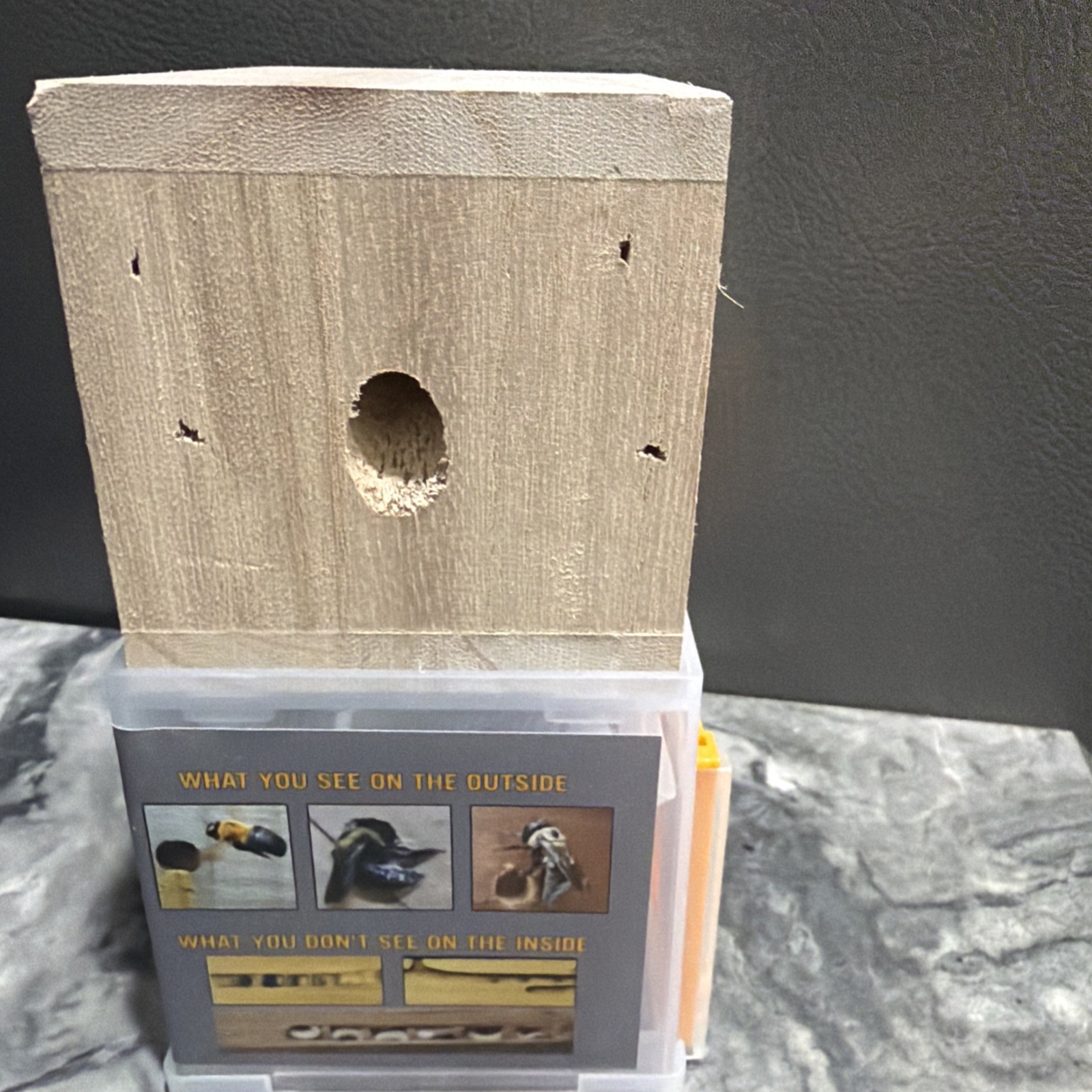 Bees 'N Things Outdoor Carpenter Bee Traps gallery