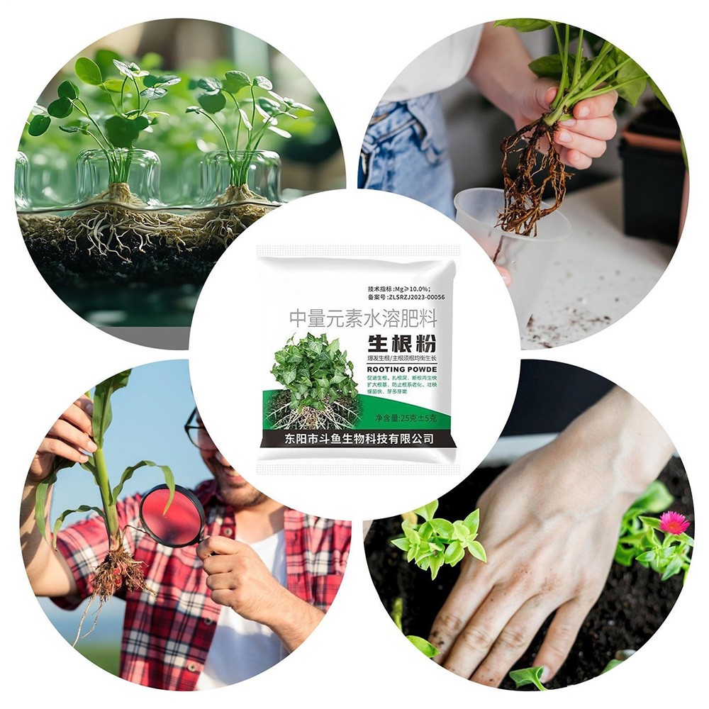 25g/Bag Rooting Powder, Powerful & Universal Rooting Agent for Fruit Tree Plants gallery