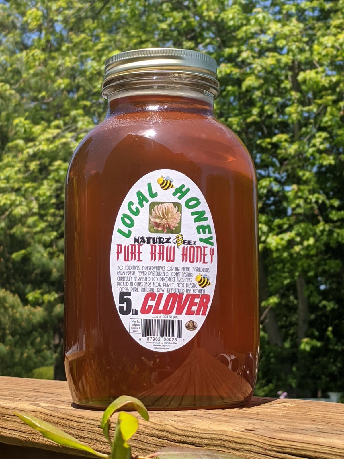 2x RAW HONEY 5LB (Includes Two 5lb Jars) RAW CLOVER 5LB & RAW WILDFLOWER 5LB gallery
