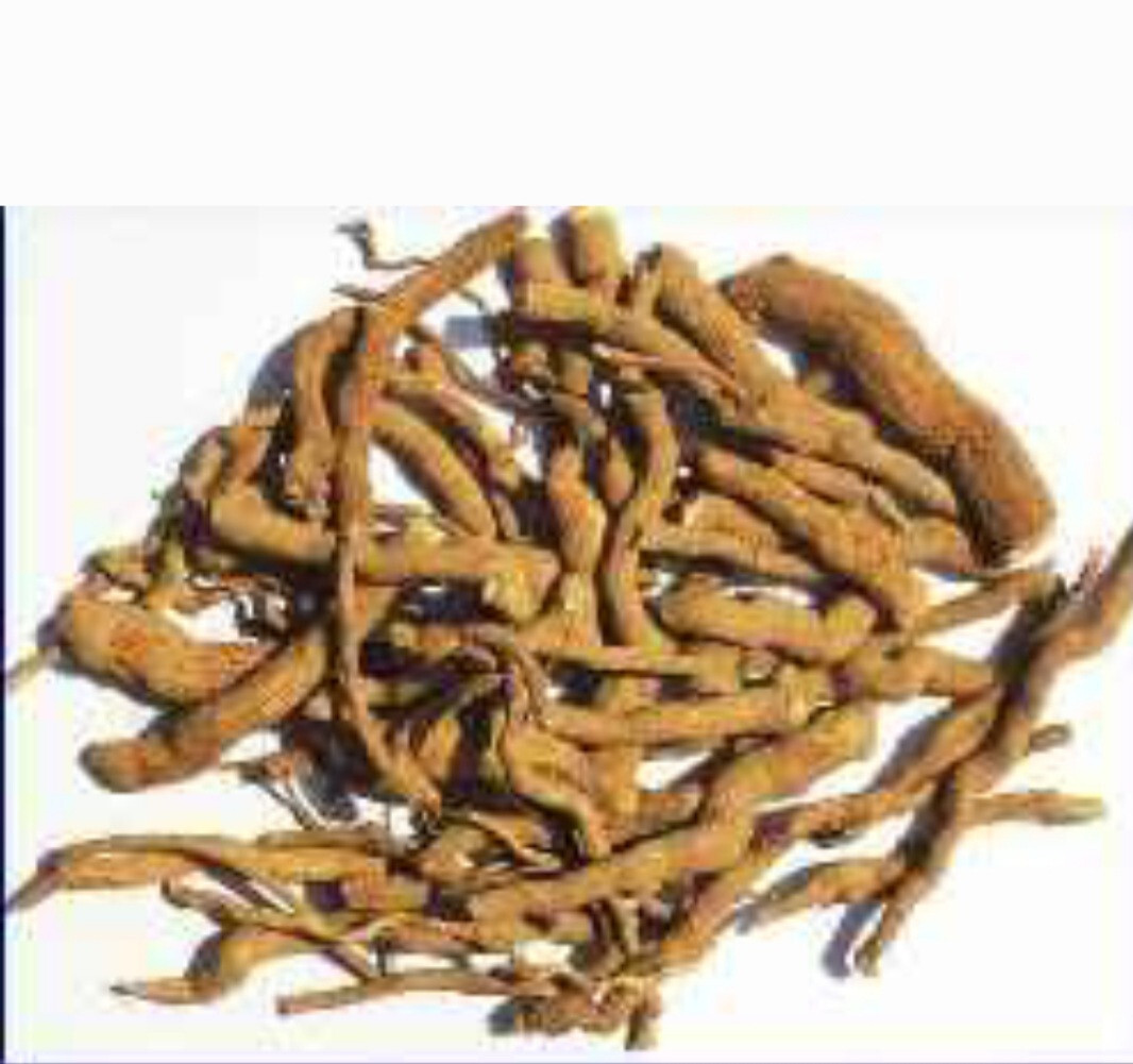 sarpagandha Roots, Snakeroot rauwolfia, serpentina, indian Snakeroot rauwolfia gallery