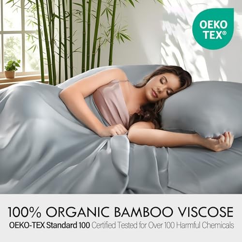 Sheets Bed Sheet Set, 100% Rayon derived from Bamboo, Luxuriously Queen Silver gallery
