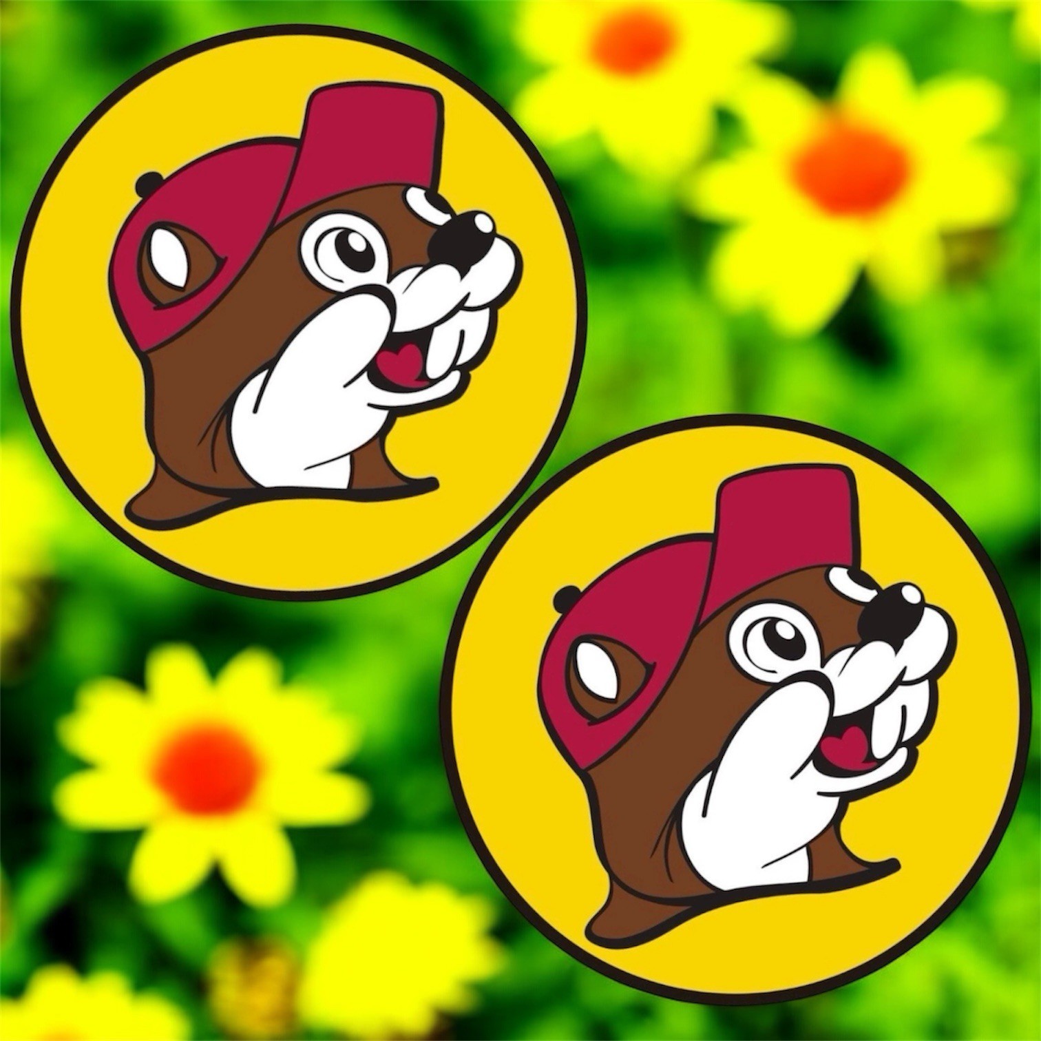 2 PACK Buc-ees Beaver Logo 3” Inch DIECUT Waterproof Vinyl Decal Sticker Set Lot gallery