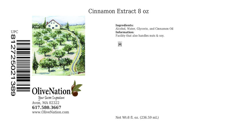 Cinnamon Extract - PG Free - 8 Ounces - Flavoring Recipes with Premium Quality R gallery