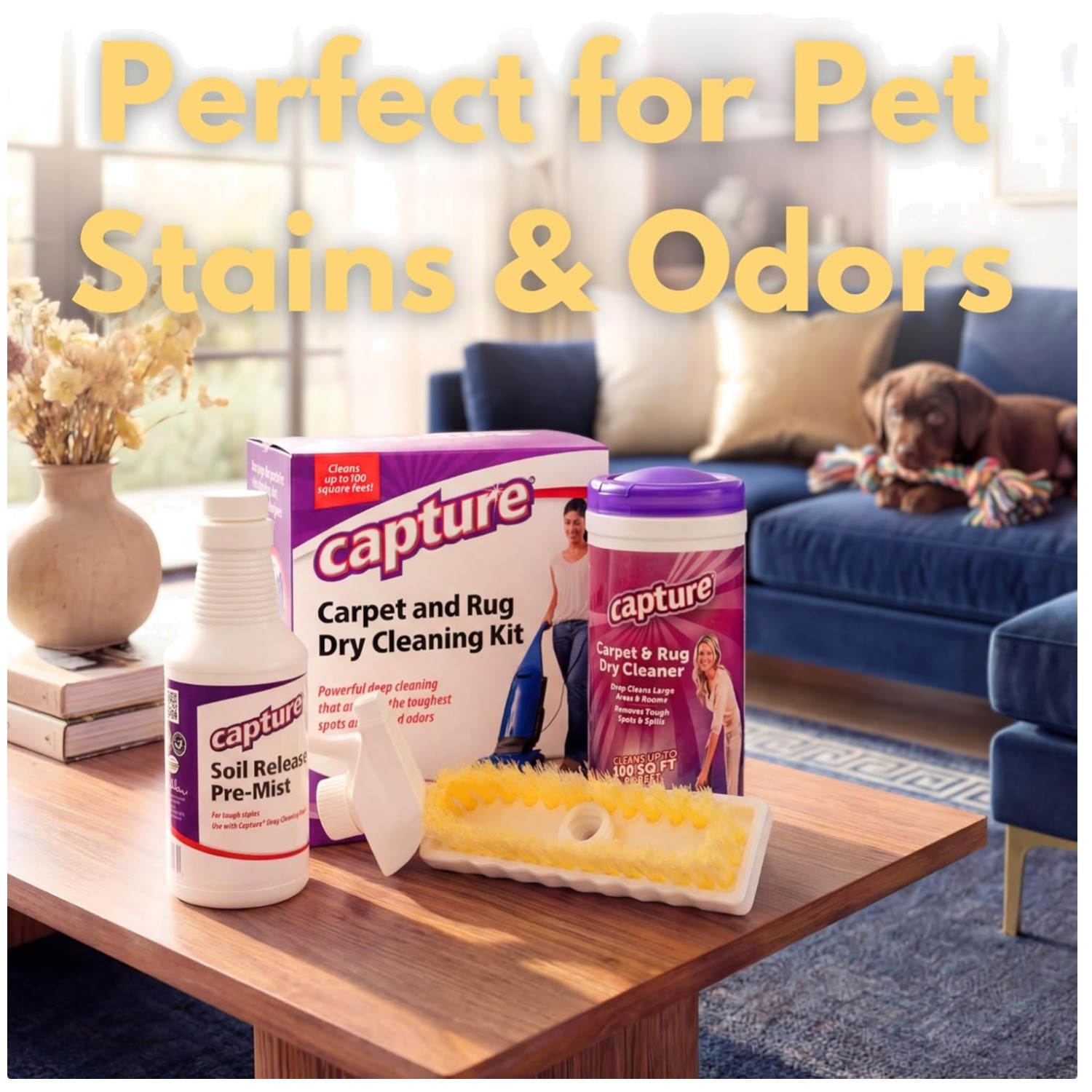 Professional Carpet Cleaning Solution - Stain & Odor Control gallery