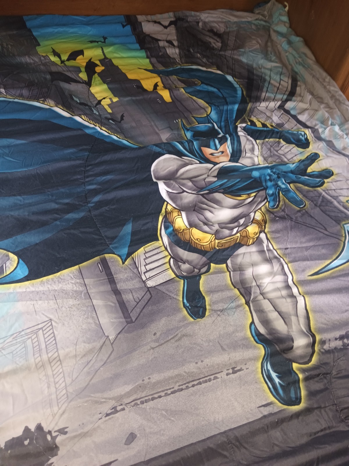Light Blue Rare in Existence Not Many Found Batman Gotham City Blanket Good Cond gallery