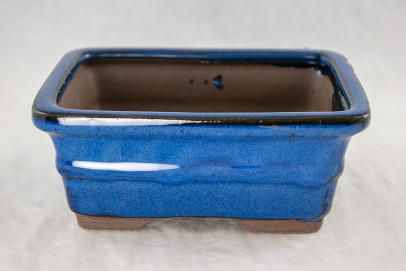 6" Rectangular Dark Blue Shohin Bonsai/Succulent Pot + Tray + Rock + Mesh Combo gallery