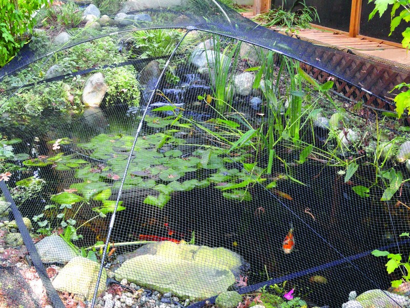 ATLANTIC POND PROTECTOR 7' x 9' FRAME PROTECTIVE DOME LEAF & FISH NET KIT PGPSM gallery
