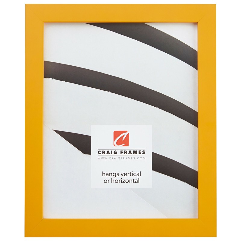 Craig Frames Confetti Primary, .875" Wide Modern Picture Frame, Various Colors gallery