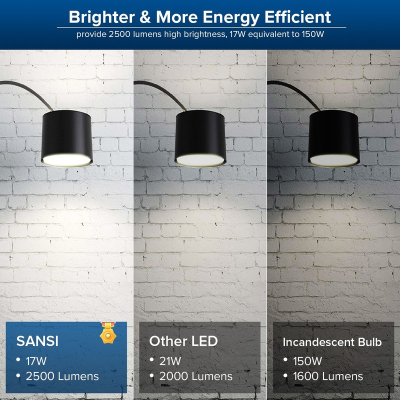Dimmable LED Light Bulb 200W Equivalent A19 2500LM 5000K Daylight Bright White gallery