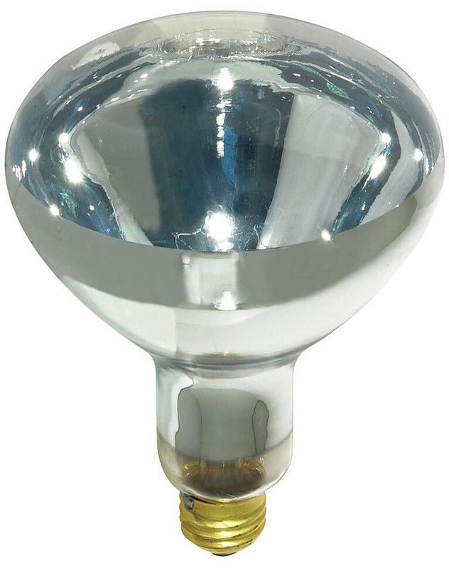 4 Pack 250W Watt Infrared Brooder Chicken Coop Hen House Clear Heat Lamp R40 E26 gallery