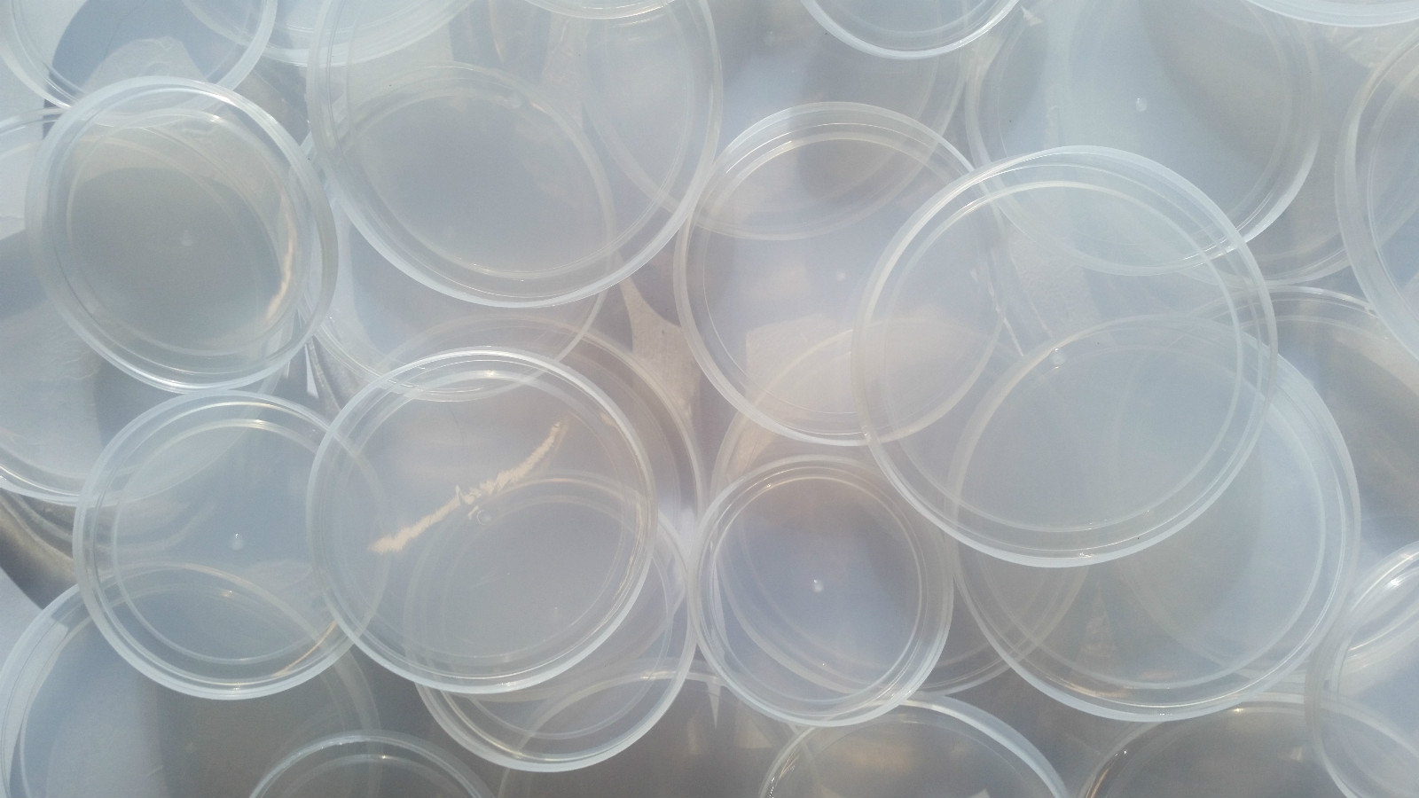 Eight (8) Clear Plastic Lids for Tin Cans. Use for Storage. gallery