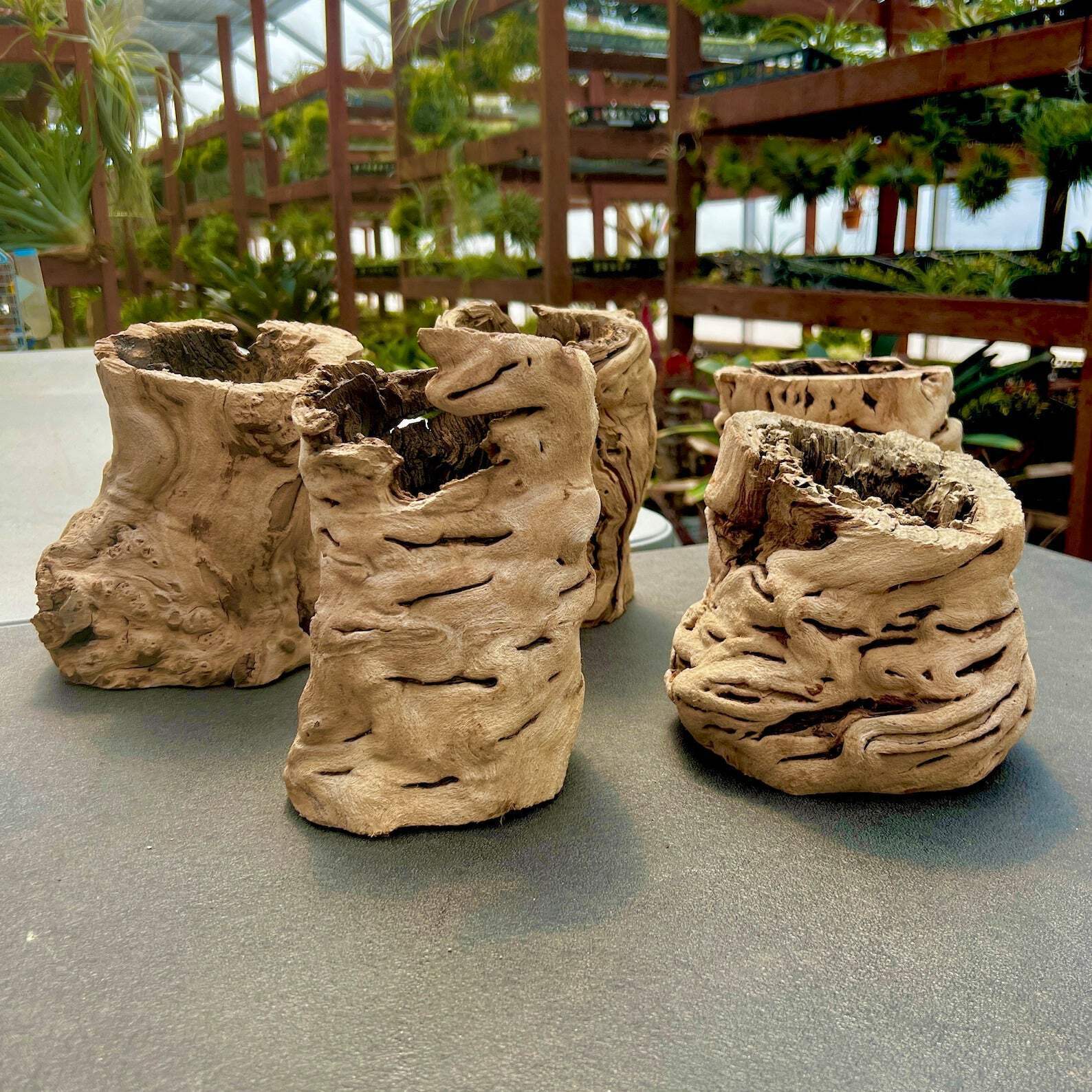 Sandblasted California Grapewood Trunk (From Zin Vines That Are 100+ Yrs Old!) gallery