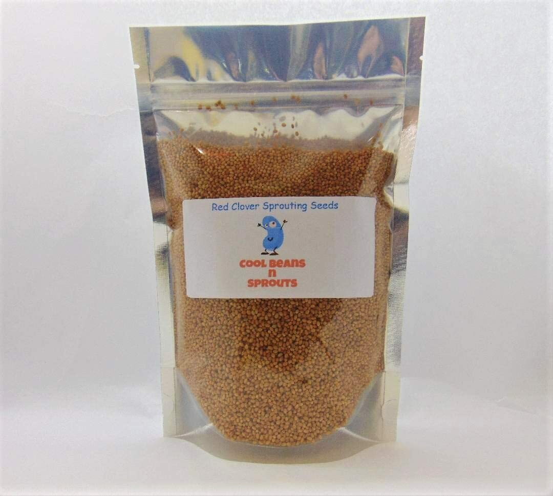 Red Clover Seeds for Sprouting Microgreens, COOL BEANS N SPROUTS brand gallery