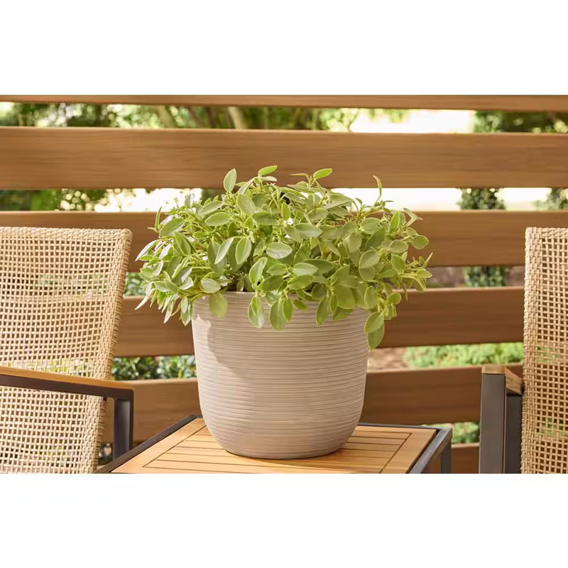Thatcher Medium Beige Plastic round Planter with Drainage Hole (11.3 In. L X 11. gallery