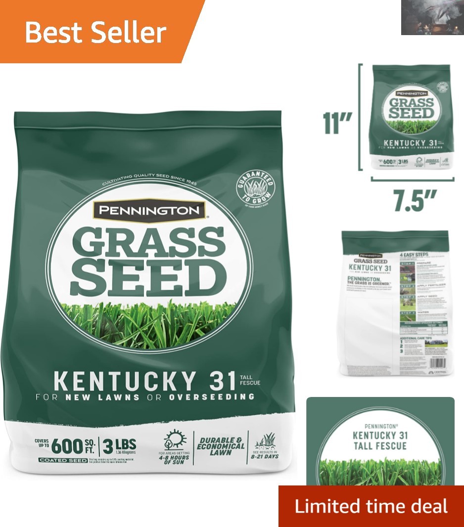 Drought-Resistant Kentucky 31 Tall Fescue Grass Seed - 3 lb for Easy Gardening gallery