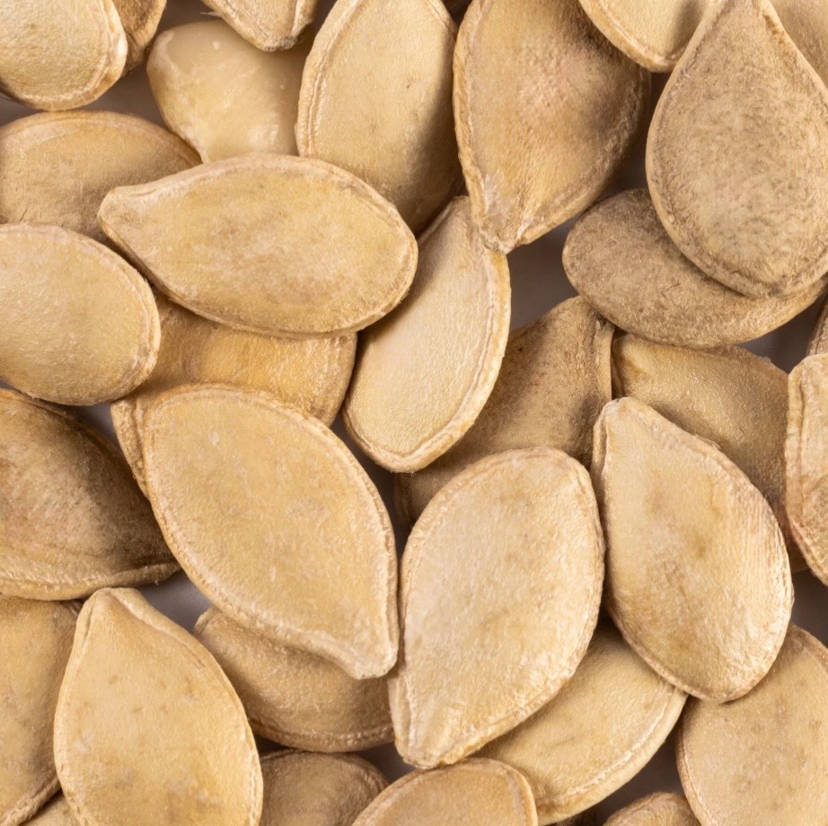 Fresh Table Queen Acorn Squash Seeds, Winter Organic Heirloom, 2026 🇺🇸U.S.A. gallery