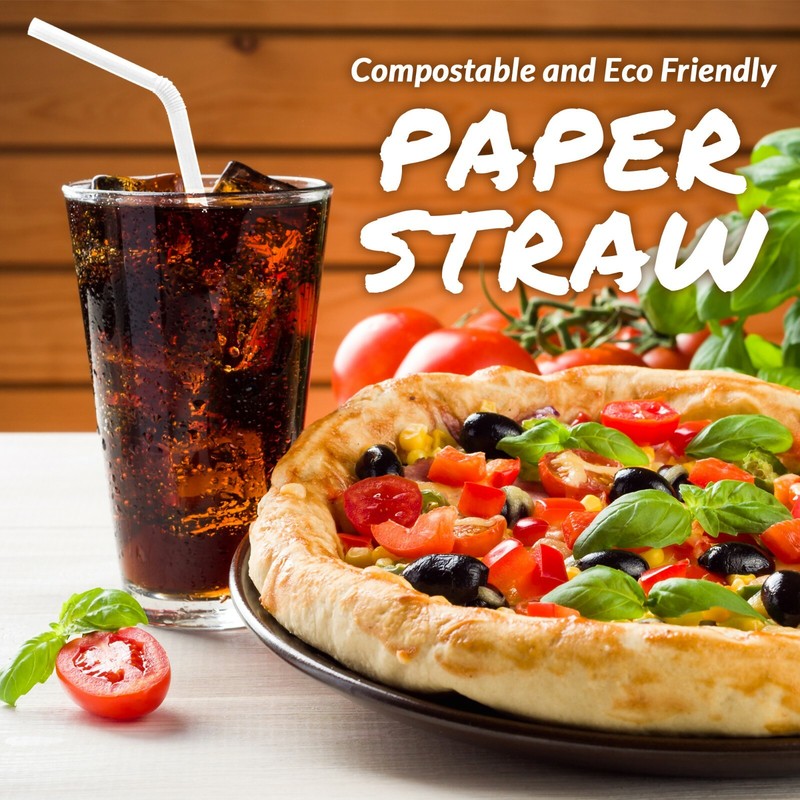 Paper Straws Wholesale Case Biodegradable FDA Approved - 5000/Ct White 7.75" gallery