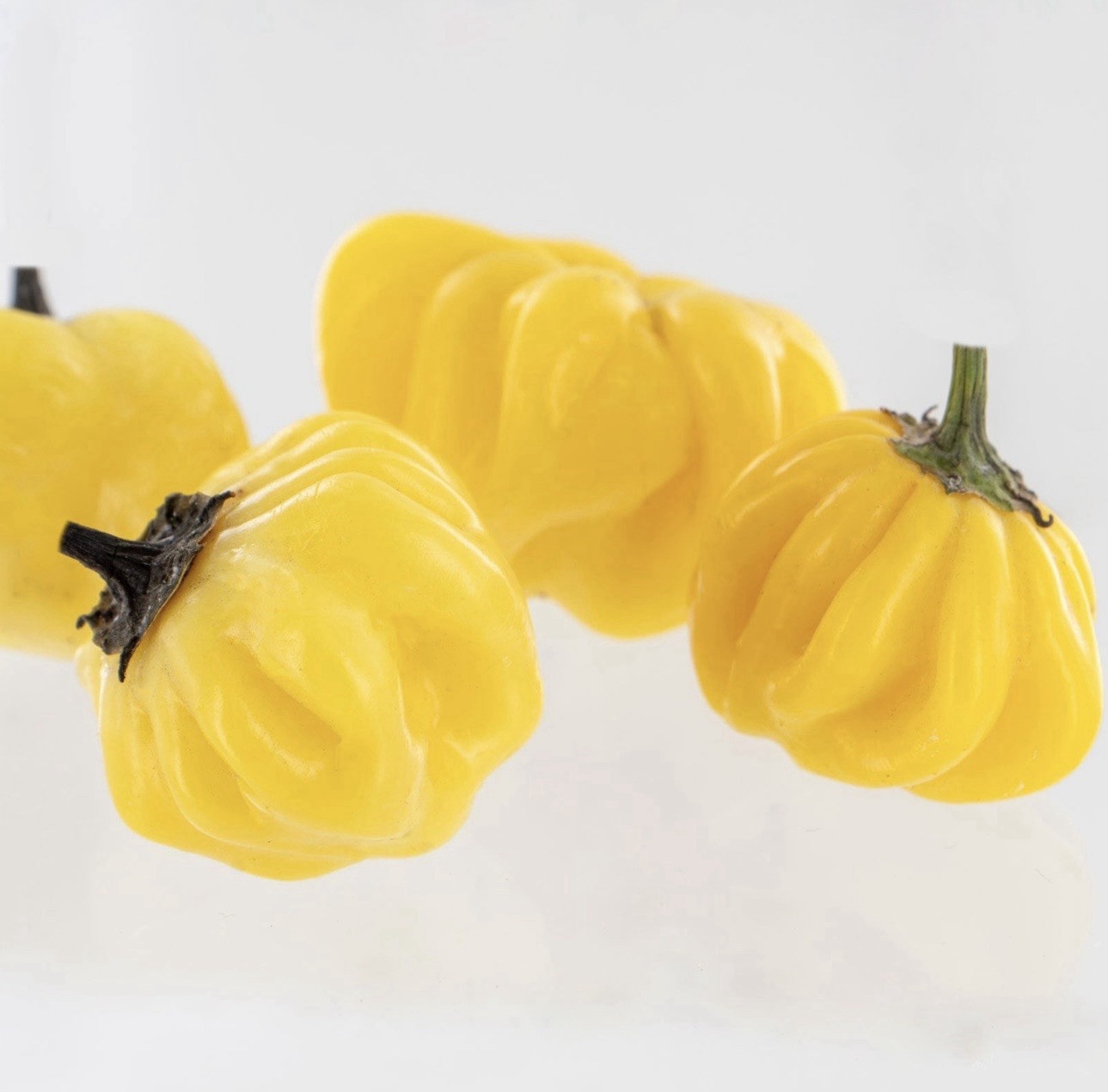 Popular!! 5 Lemon Starburst Pepper Plants!! Ready To Ship gallery