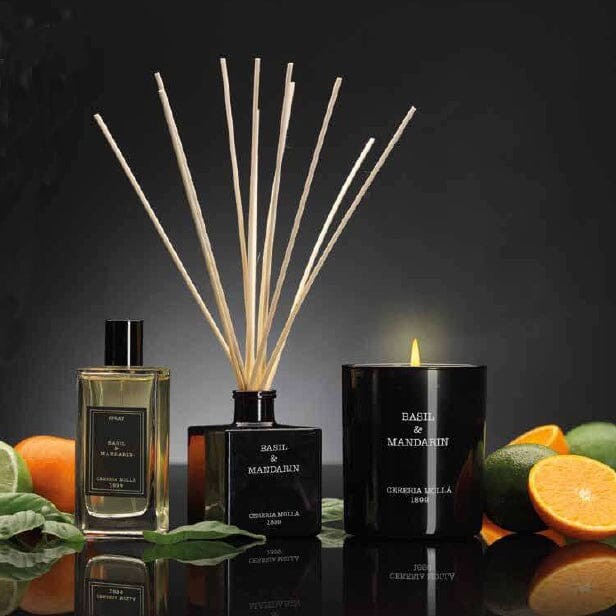Cereria Molla 1899: Basil and Mandarin XXL Candle, 7.7 pounds gallery