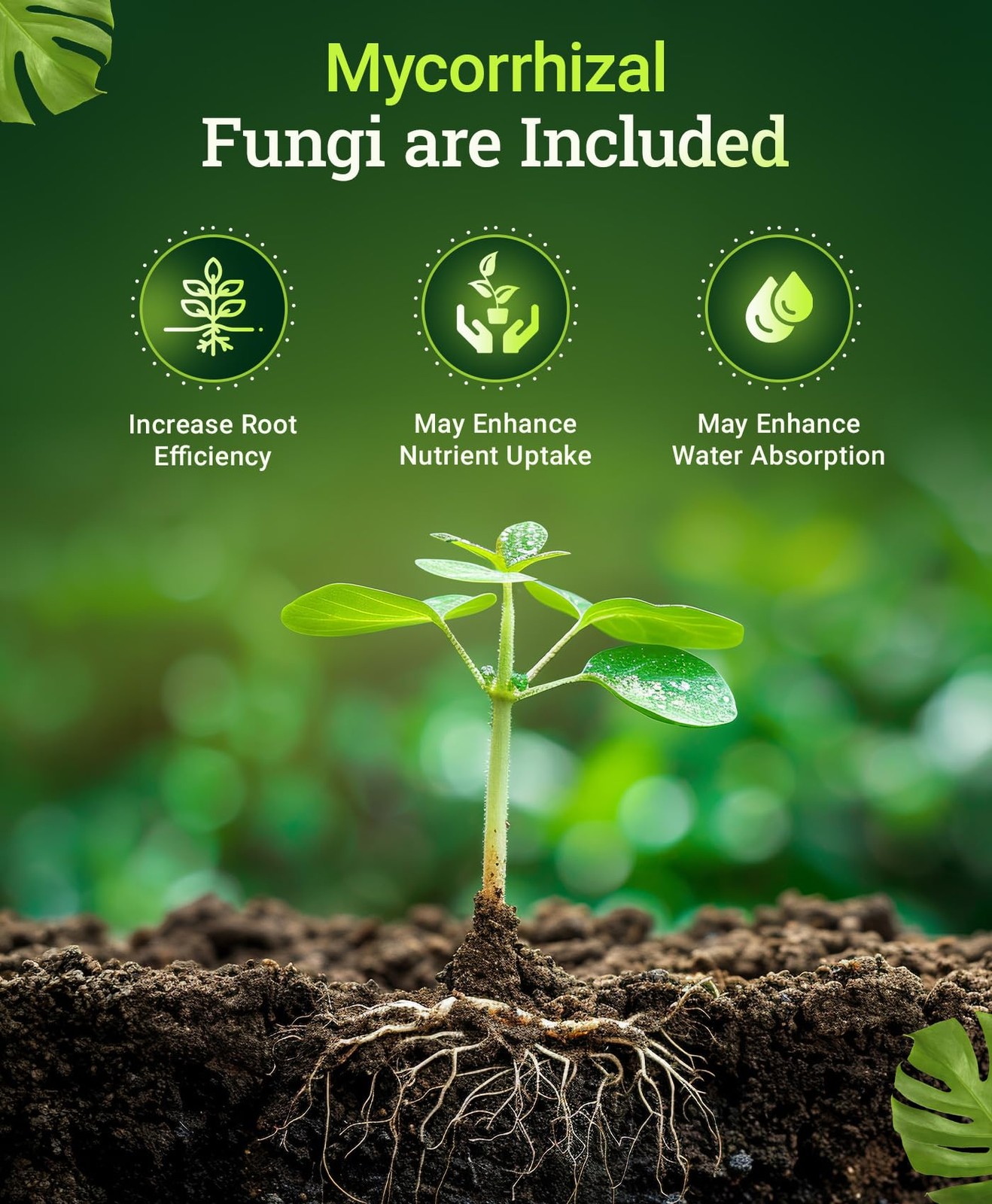 Bone Meal Fertilizer with Calcium & Mycorrhizal Fungi for Strong Growth 4 lb gallery