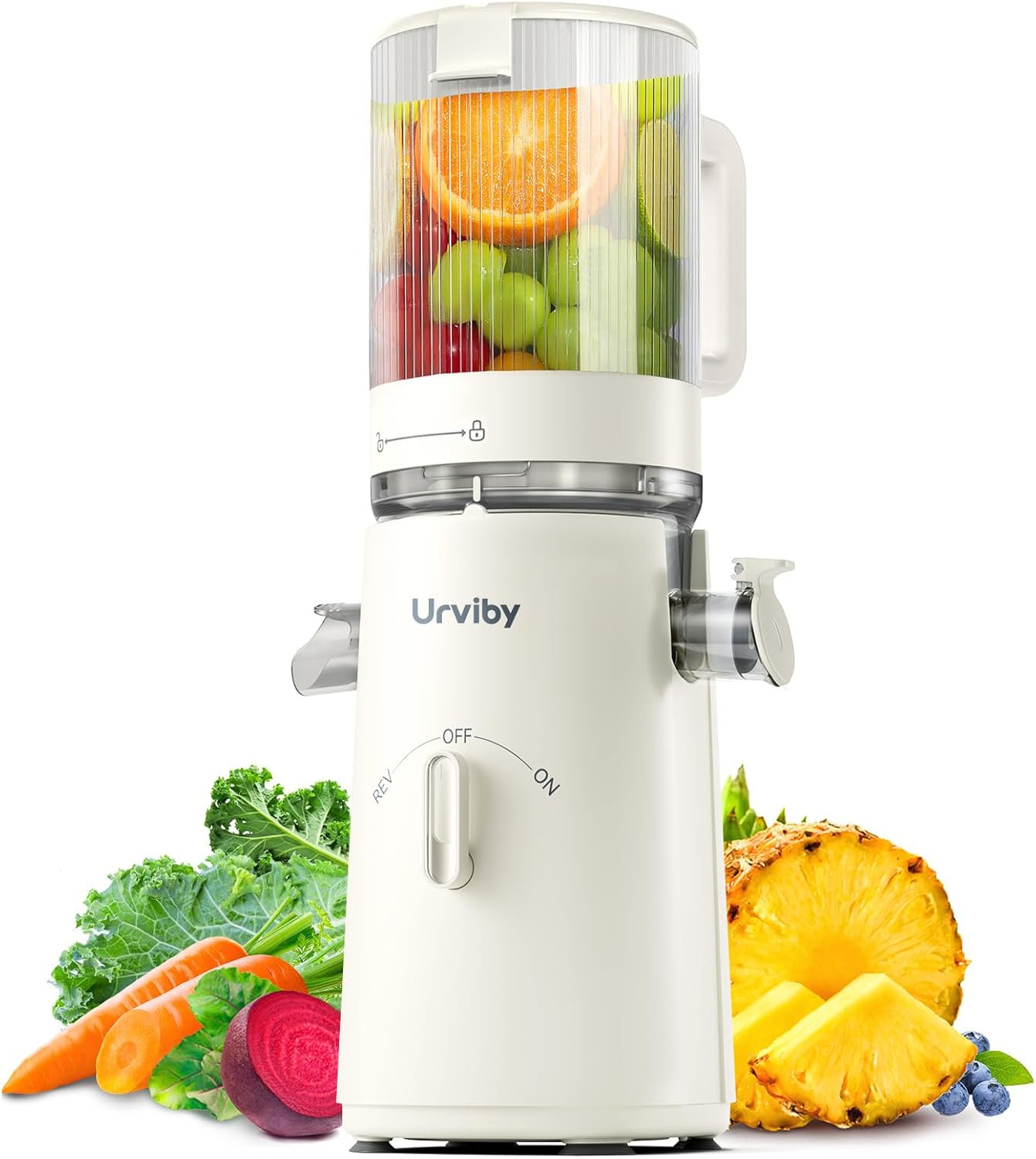Juicer Machines, 2-In-1 Cold Press Juicer for Juice & Sorbet, Suit for Vegetable gallery